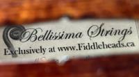 Fiddleheads Violin Studio image 7